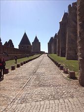 by kwilson, Views[144]