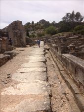 by kwilson, Views[163]