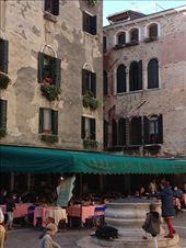 Venice: by kwilson, Views[148]