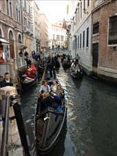 Venice: by kwilson, Views[218]