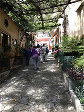 by kwilson, Views[136]