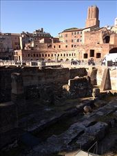 by kwilson, Views[181]