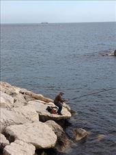 by kwilson, Views[172]