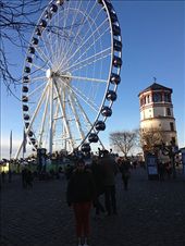 by kwilson, Views[215]