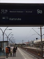 by kwilson, Views[229]