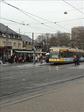 by kwilson, Views[247]