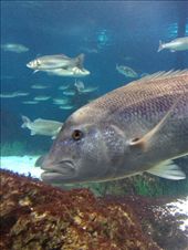 by kwilson, Views[236]