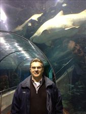 by kwilson, Views[245]