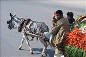 A farmer in Giza shows crop transportation remains unchanged and pure.: by kyekemp, Views[435]
