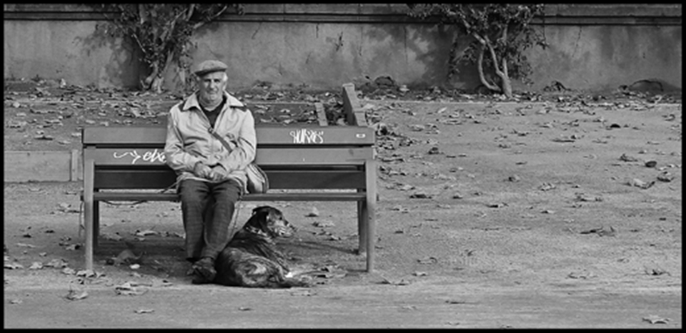 An old man and his muzzled dog sit on the streets of Istanbul, Turkey