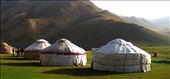 Thousand-star hotels : by kyrgyznomad, Views[166]