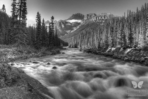 Bow Valley - Banff, Alberta, Canada - I couldn't believe how loud and powerful the river was as I parked myself taking this shot. Yet it was one the most peaceful places I have visited.
