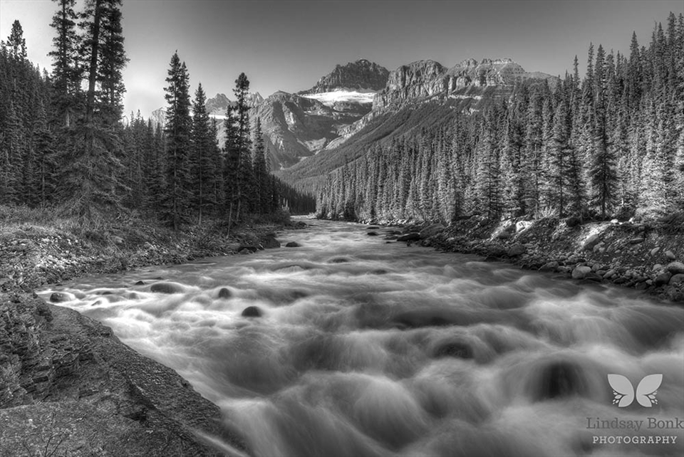Bow Valley - Banff, Alberta, Canada - I couldn't believe how loud and powerful the river was as I parked myself taking this shot. Yet it was one the most peaceful places I have visited.