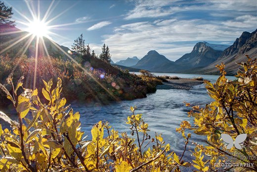 Bow Lake - Banff, Alberta, Canada. As the sun rises, it beams down and ignites all the colours of the Fall season.