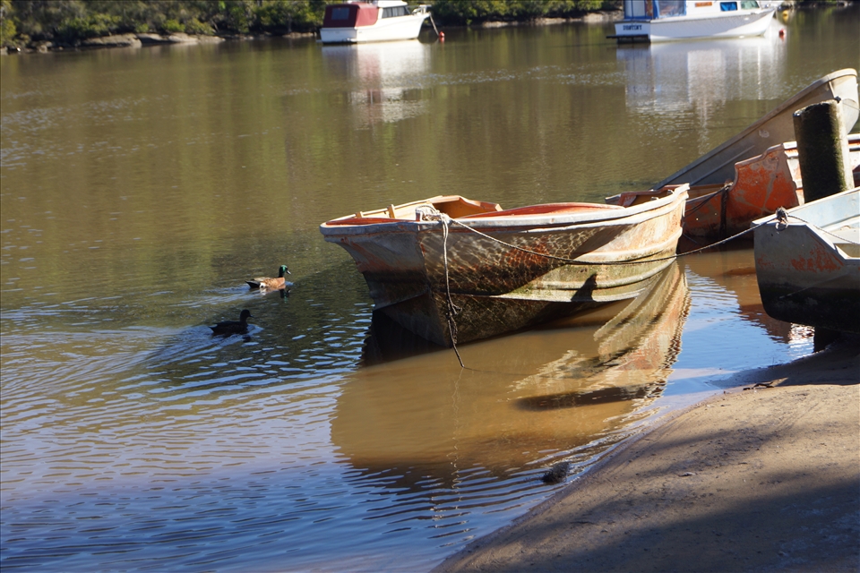 Downriver at the Picnic Point Boatshed