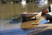 Downriver at the Picnic Point Boatshed: by l_wright, Views[458]