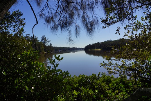 Window to The Georges River, Picnic Point