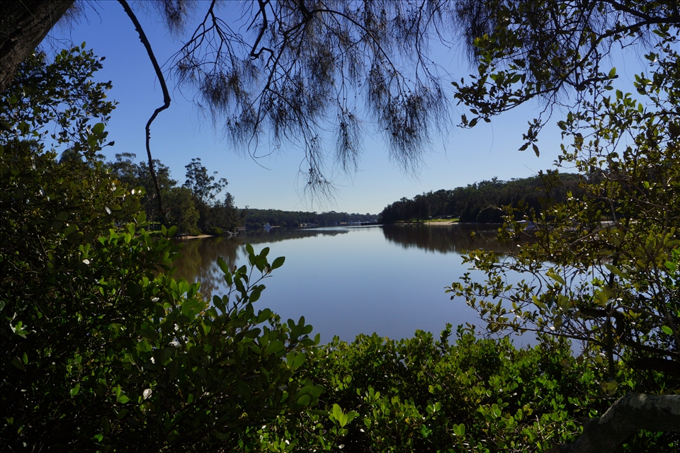 Window to The Georges River, Picnic Point