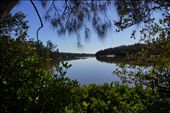 Window to The Georges River, Picnic Point: by l_wright, Views[435]