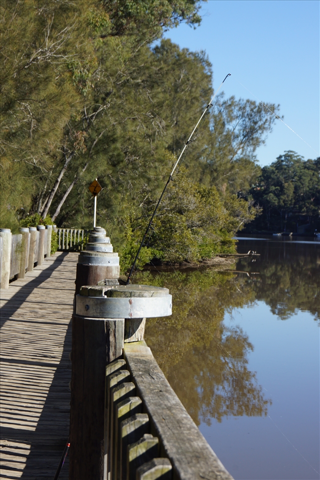 Taking a walk, catching a fish, relaxing by the river view