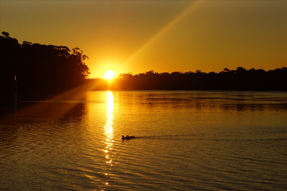 Ending the day with a swim at Kelso Beach, Georges River