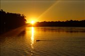 Ending the day with a swim at Kelso Beach, Georges River: by l_wright, Views[440]