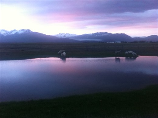 South Icelandic farms appear uninhabited, giving one the feeling that 