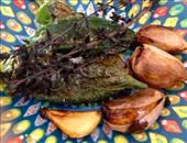 we've all got thyme: by ladydinesalot, Views[279]