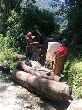 Nepalese women working with concrete blocks stop to smile for a picture.: by ladyelisa, Views[243]