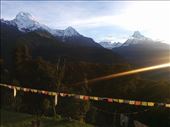 Sunrise over the Annapurna mountains with prayer flags illuminated by light. : by ladyelisa, Views[297]