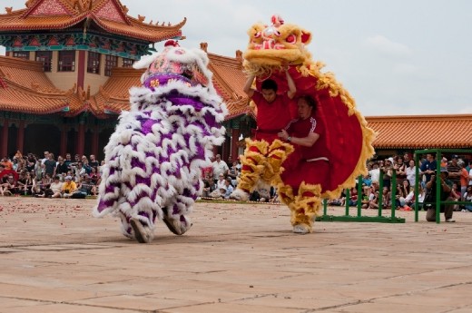 The Lion dance is done by two dancers per lion. They move on the rhythm of drums and gongs which creates a spectacular show. The head of the lion is made out of paper mâché and the twinkle and movement of the lion’s eyelids as well as the movement of the head and mouth are supposed to enhance the lion’s vitality and longevity, while the tail of the lion sweeps away bad fortune from last year.
