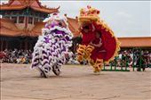The Lion dance is done by two dancers per lion. They move on the rhythm of drums and gongs which creates a spectacular show. The head of the lion is made out of paper mâché and the twinkle and movement of the lion’s eyelids as well as the movement of the head and mouth are supposed to enhance the lion’s vitality and longevity, while the tail of the lion sweeps away bad fortune from last year.: by laetitia, Views[1223]
