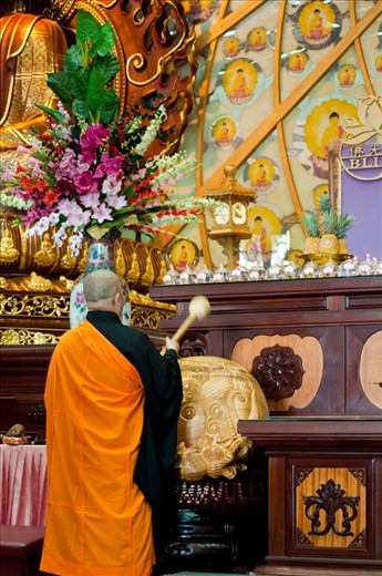 South Africa is a land with a diverse cultures. To celebrate the Chinese New Year is yet another extraordinary event to experience the Chinese culture. The Celebration begins with monks beating rhythmically before the Main Hall becomes quiet to wait for the Abbot of Nan Hua Temple, Venerable Hui-Fang, to deliver his New Year's message 