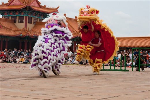 The Lion dance is done by two dancers per lion. They move on the rhythm of drums and gongs which creates a spectacular show. The head of the lion is made out of paper mâché and the twinkle and movement of the lion’s eyelids as well as the movement of the head and mouth are supposed to enhance the lion’s vitality and longevity, while the tail of the lion sweeps away bad fortune from last year.