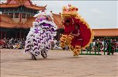 The Lion dance is done by two dancers per lion. They move on the rhythm of drums and gongs which creates a spectacular show. The head of the lion is made out of paper mâché and the twinkle and movement of the lion’s eyelids as well as the movement of the head and mouth are supposed to enhance the lion’s vitality and longevity, while the tail of the lion sweeps away bad fortune from last year.: by laetitia, Views[1074]