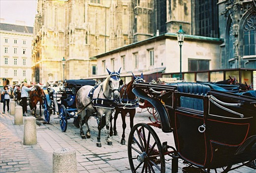 The start point. It was a first thing to see in Vienna. And it was my last picture of the city I saw because in 3 hours I was departing from the same point.