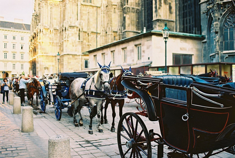 The start point. It was a first thing to see in Vienna. And it was my last picture of the city I saw because in 3 hours I was departing from the same point.