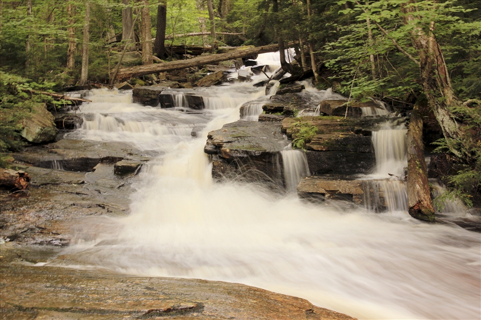 A place of solitude. A place where you can sit and have the water rush past you while you contemplate life - until you realize the water is carrying a million baby leaches that are now covered all over you. In the end, all you're contemplating is why you ever thought it would be a good idea. In the most unlikely places, at the most unlikely times, you'll find that adventure beckons you. 