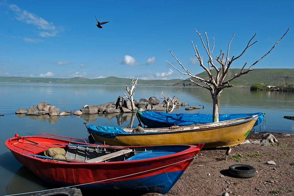 Boats are waiting to go fishing in the morning at the shores of the lake. Fishermen must compete with birds for  their catch.
