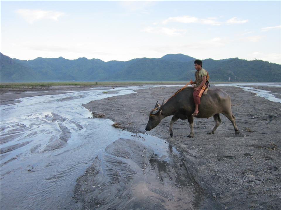 A Wilderness Life Within the City