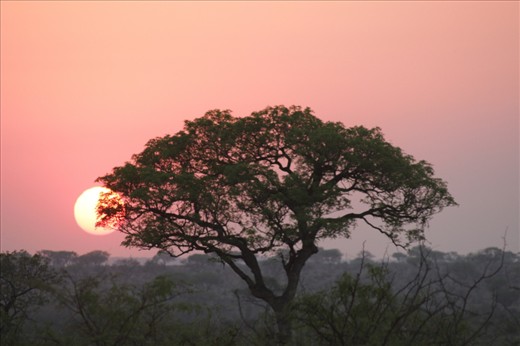 Picturesque sunset after a long days safari