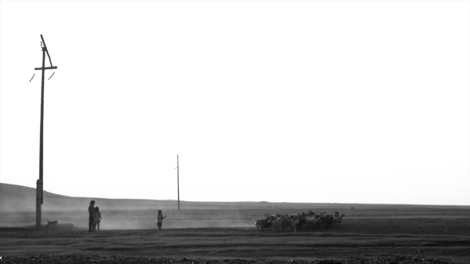 Mongolian nomads, herding their sheep and goats on the steppe.