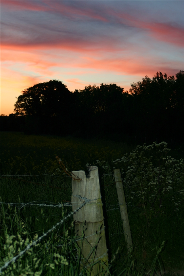 Fenced off Sunset