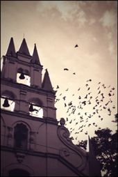 by larachristie, Views[169]