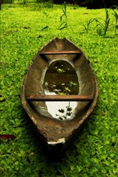 by larachristie, Views[172]