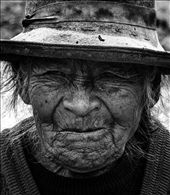 by larachristie, Views[175]