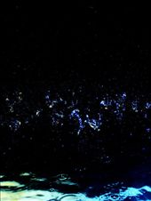 by larachristie, Views[223]