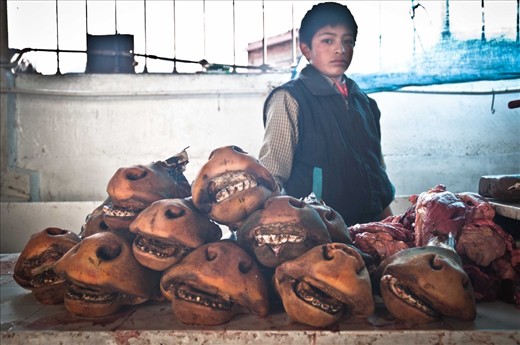  A serious young boy with Cow's mouths for sale. San Pedro Markets, Cuzco, Peru.