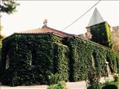 Ruzica Church, one of the oldest and most beautiful churches in Kalamegdan F.: by larasabry, Views[203]