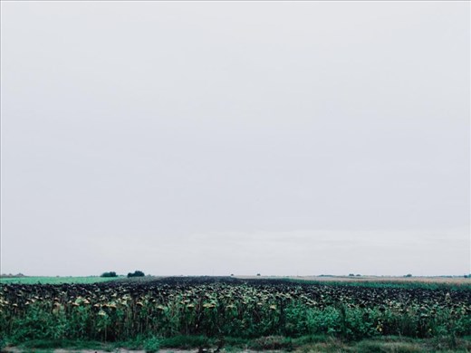 Take a road trip and admire the natural plains. 